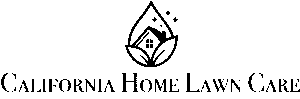 5 black